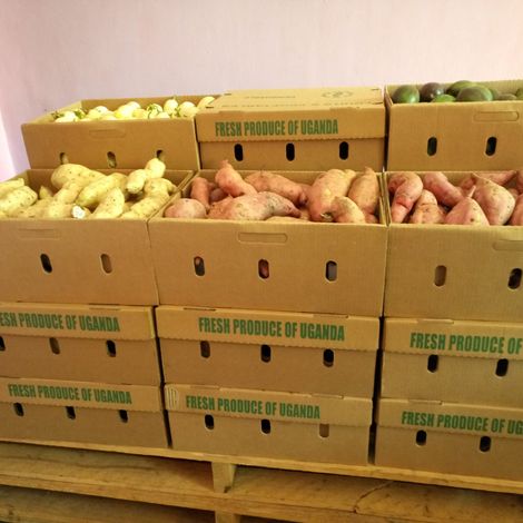 Fresh From Uganda Ltd - Products