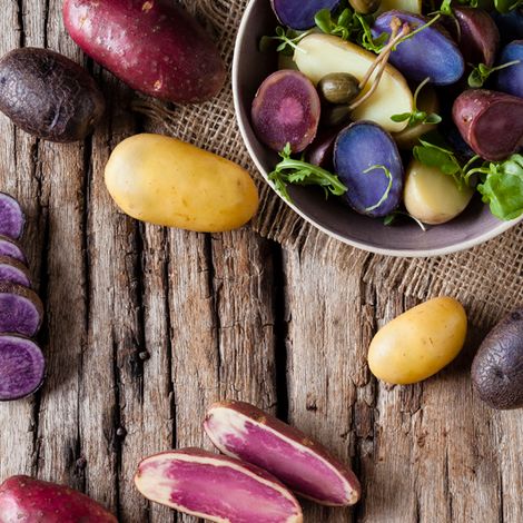 The Fresh in Time Club - Potatoes