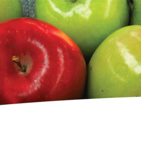 banner10.jpg