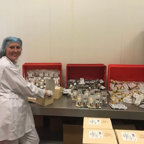 Goldschmidt Frischkäse GmbH - Production