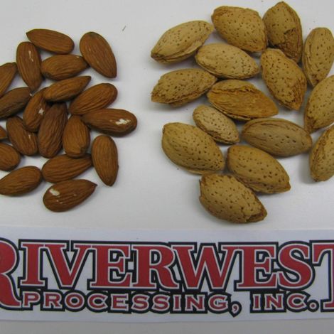 Riverwest Processing Inc