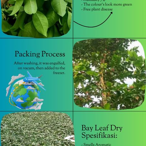 bay leaves