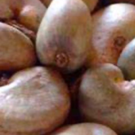 Raw cashew nut
