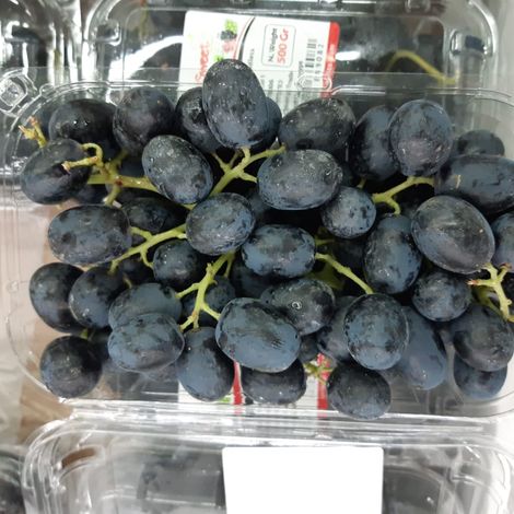 Black Punnet 1.jpg