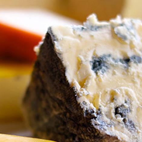 creamy-cheese.jpg