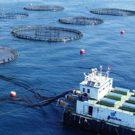 Hatko Aquaculture - Vessel