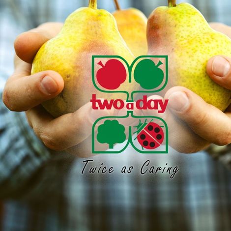 Two-a-Day Group (Pty) Ltd - Pear