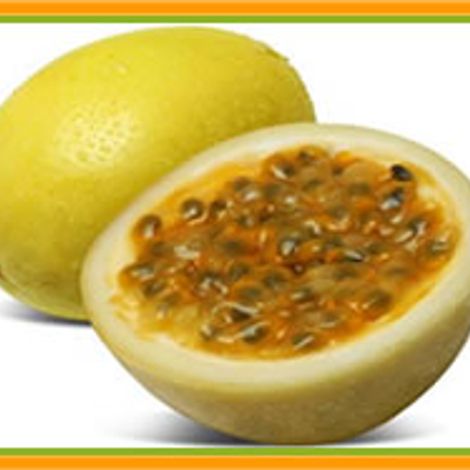 fashion fruit