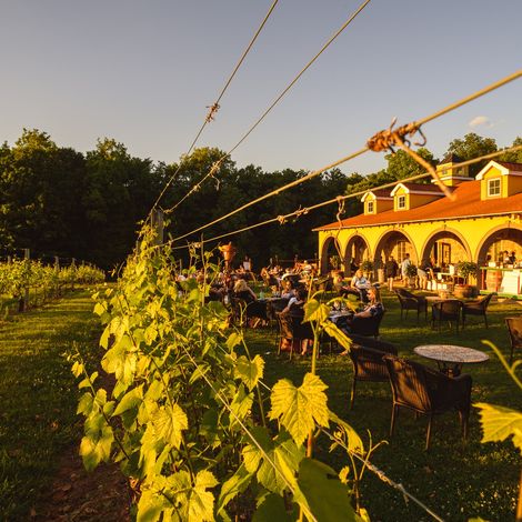 Paradise Hills Vineyard & Winery