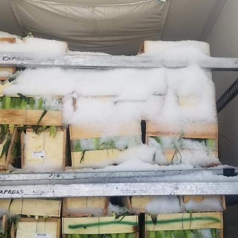 Wilkinson-Cooper Produce Inc - Packed Products