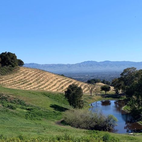 Cooper-Garrod Estate Vineyards