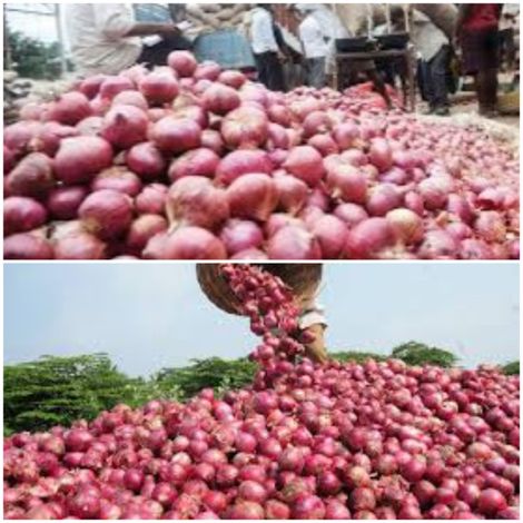 Onion processing