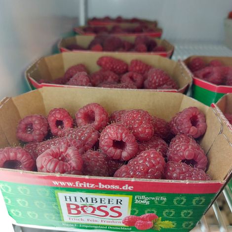 Gemüsehof Flachenecker