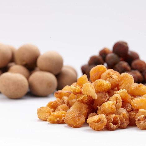 Longan