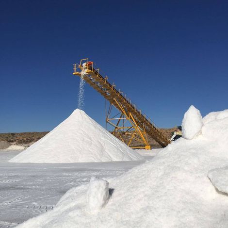 Salt Farm