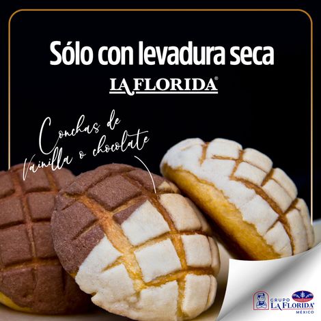 Grupo La Florida