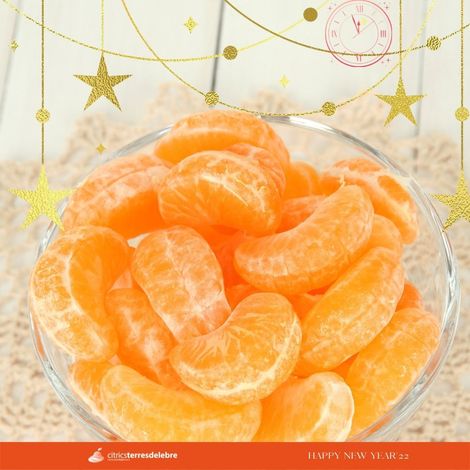 CITRICS TERRES DE L'EBRE, SAT