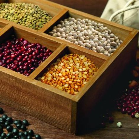 Tarkhineh Food Stuffs Mfg.
