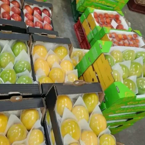 Production