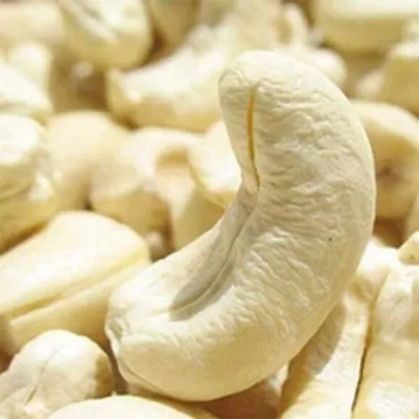 Cashew nuts kernel