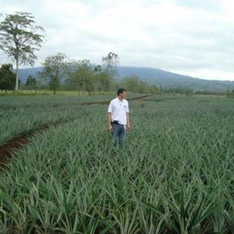 Farm