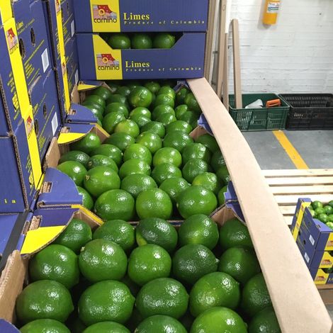 Limes ready for shipment