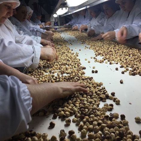 Istanbul Findik Sanayi - Facility