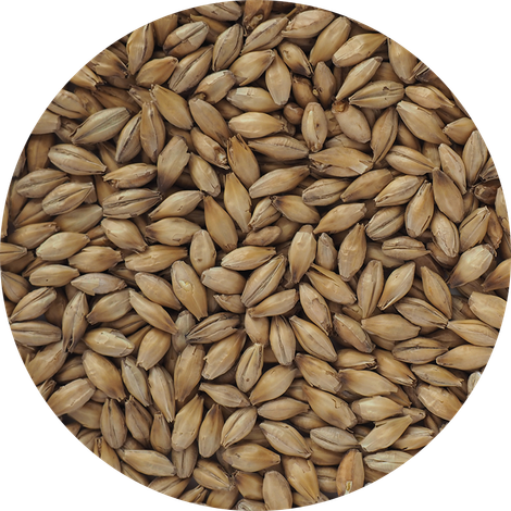 Crisp Malting Group Limited