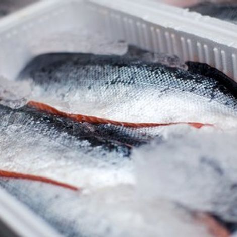 Kaytrad Commodities (Pty) Ltd - Fish