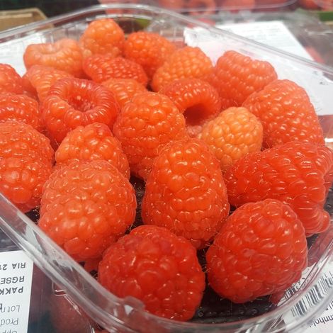 Green Valley Berries