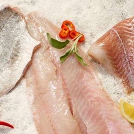 Hygrade Ocean Products Inc