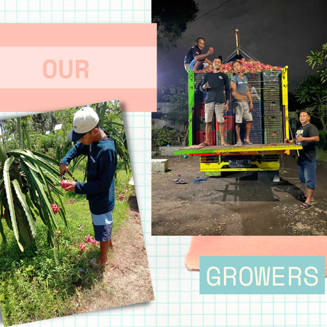 Our grower