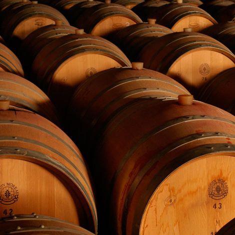 Tittarelli Wines - Cellar