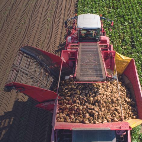 Harvest