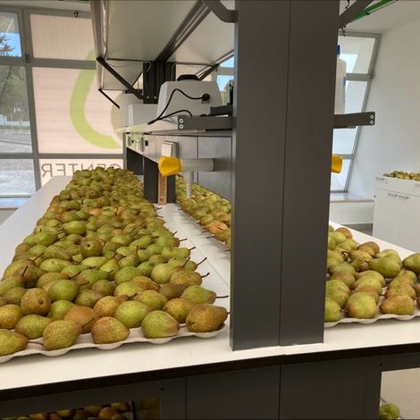 Ecofrutas, Lda - Facility