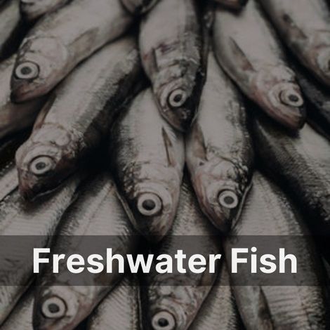 Edgewater Foods LTD - Products