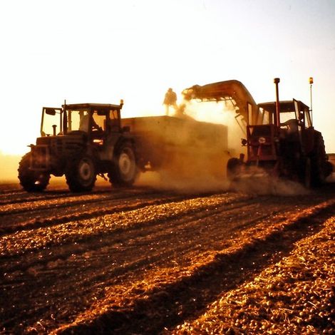 harvesting