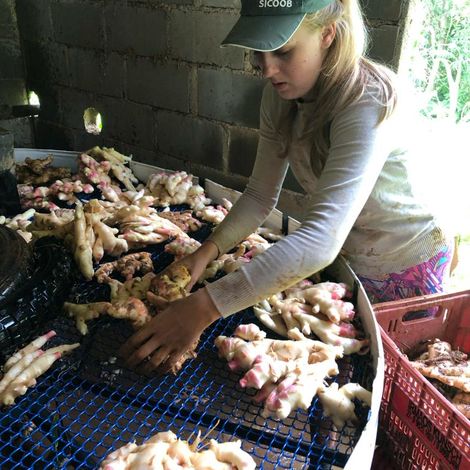Our production and our farm