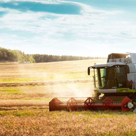 LLC FORNAX AGRO UKRAINE