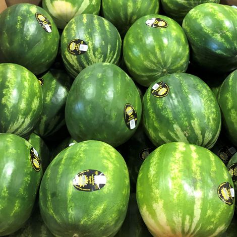 Always Fresh Farms LLC