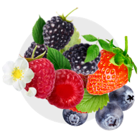 thumbnail_berries2.png