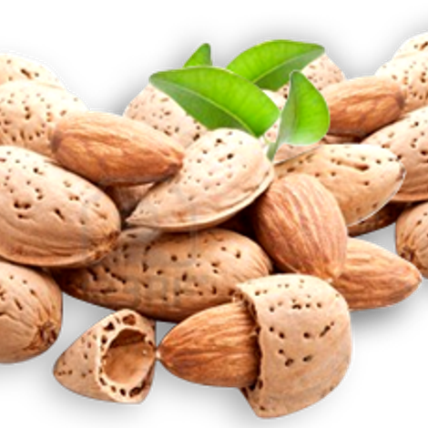 Waterford Nut Company - Products