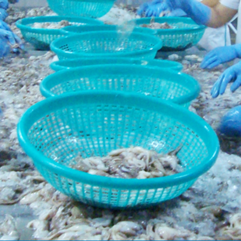 Ngoc Tung Co., Ltd
