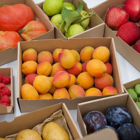 Joinfruit - Fruit Products