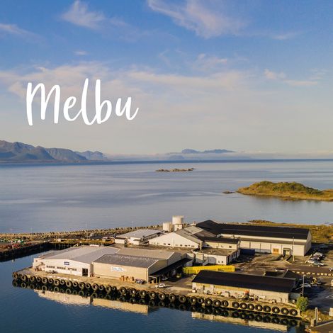 NORWAY SEAFOODS AS - Facility