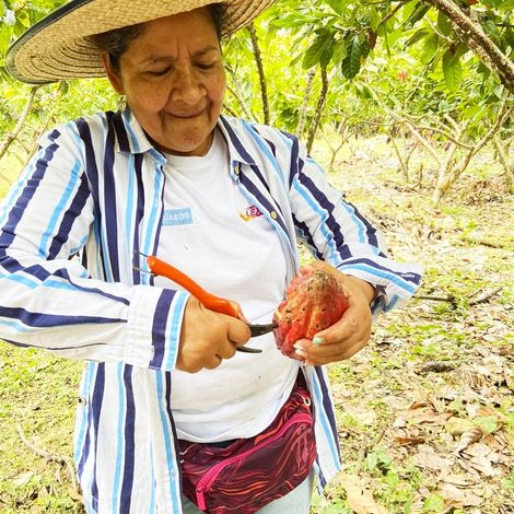 ASOCIACION NACIONAL CACAOTERA DE COLOMBIA