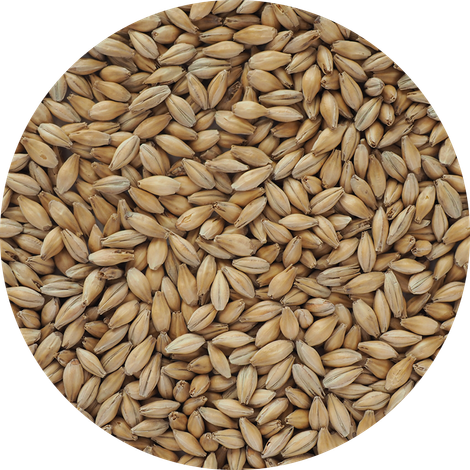 Crisp Malting Group Limited