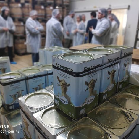 LAKONIKI DAIRY IND. - KYRIAZAKOS SA - Storage