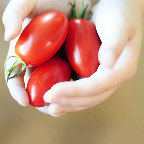 Pixabay_hands-tomatoes_website-values.jpg