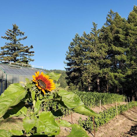 Crafting-Wine-Food-with-the-Earth-in-Mind